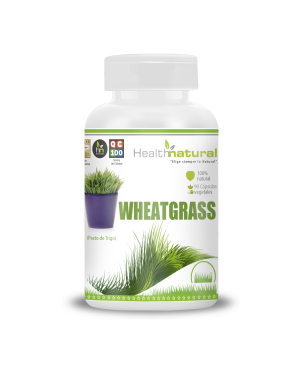 WHEATGRASS (90 Cáps. Vegetales/500mg)